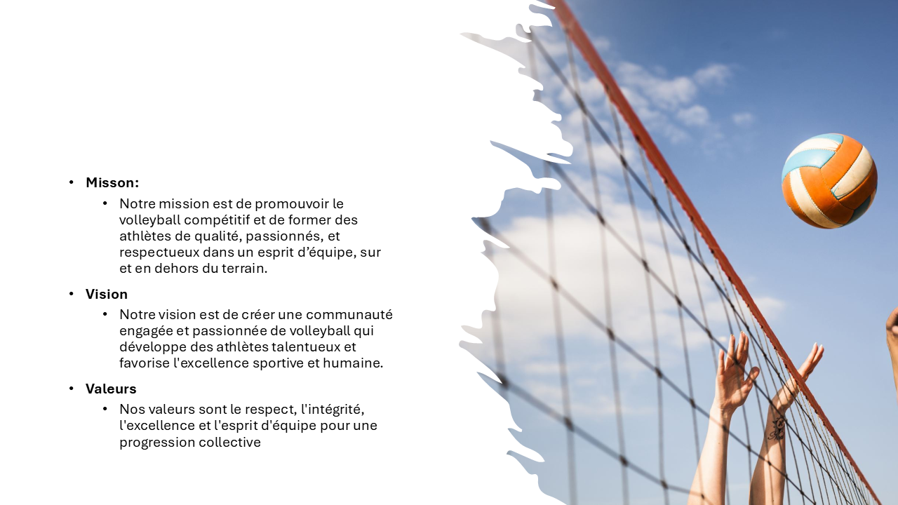 Mission vision et valeurs